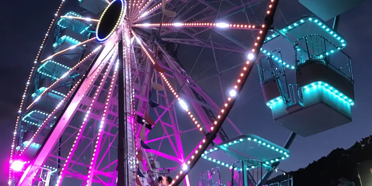 Ferris wheel lit with pink and teal lights at night